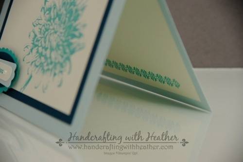 Blooming with Kindness6