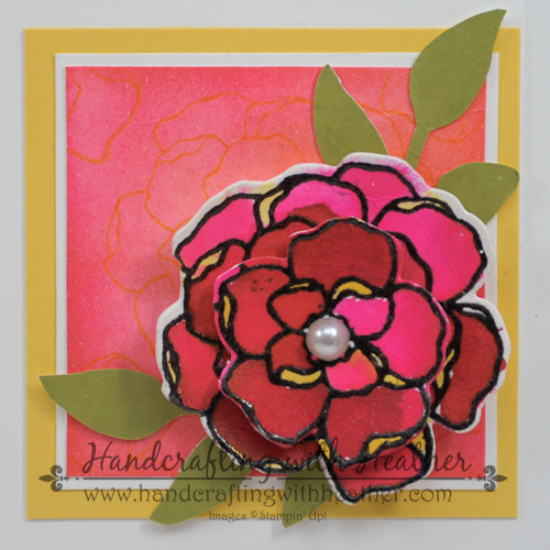 Spring Grid Project (13 of 20)