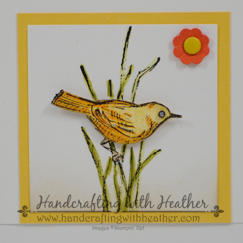 Spring Grid Project (15 of 20)