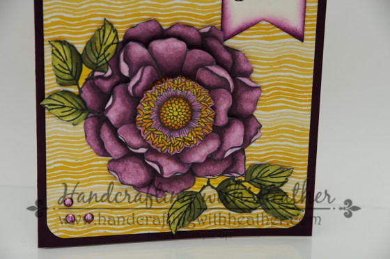 Blended Bloom (6 of 10)