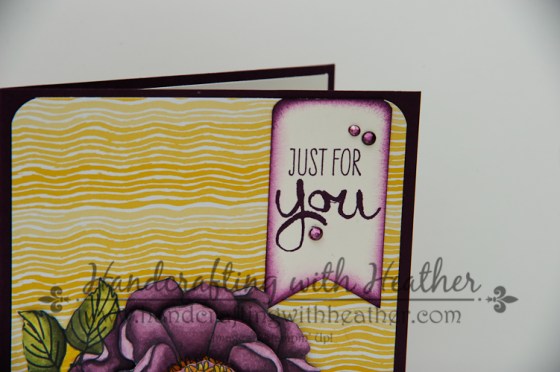 Blended Bloom (7 of 10)