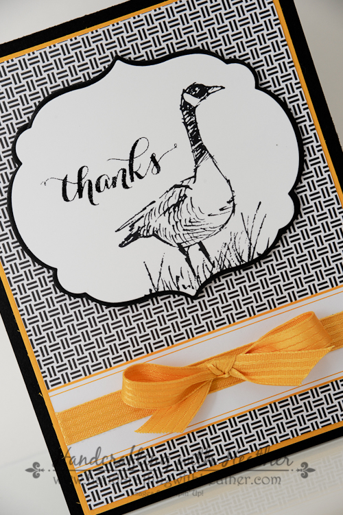 Wetlands & Project Life (7 of 7)