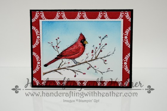 Beauty of the Season (2 of 8)